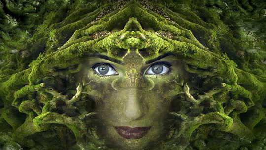 Attuning to the Language of Nature Attuning to the Language of Nature