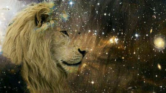 Horoscope Current Week: August 2 - 8, 2021 lion's face looking out at the stars