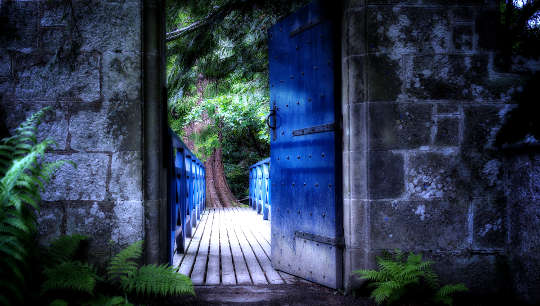 Finding Health and Wellness on the Path to Awakening door opening onto a lighted walkway