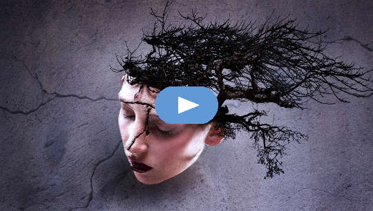 Opening to a Whole New Way of Being woman's head with a crack and with tree growing from the back of her head