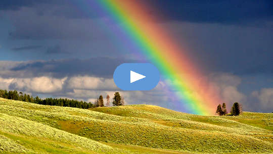 Give Yourself Time, Be Kind, and Heal in Your Own Way rainbow over a field