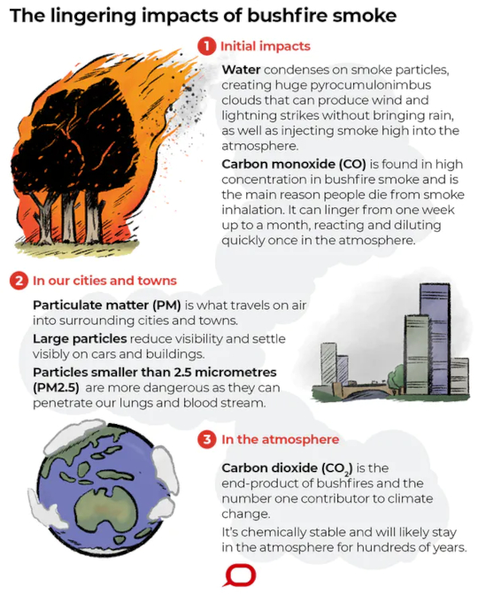 6 Things You Need To Know About How Bushfire Smoke Affect Our Health