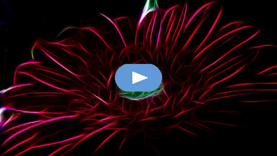 Transformation: Taking Back our Power from People and Parasites (Video) Transformation: Taking Back our Power from People and Parasites (Video)