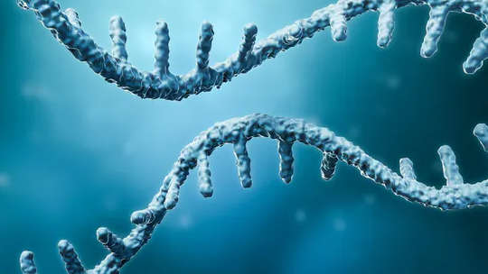 3 More MRNA Vaccines Researchers Are Working On 