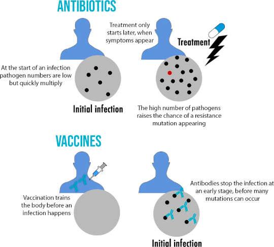 Why Resistance Is Common In Antibiotics, But Rare In Vaccines