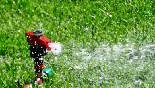 How Neighbors Nudge Each Other To Skip The Sprinkler How Neighbors Nudge Each Other To Skip The Sprinkler