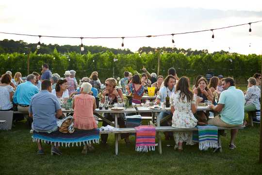 outdoor party 