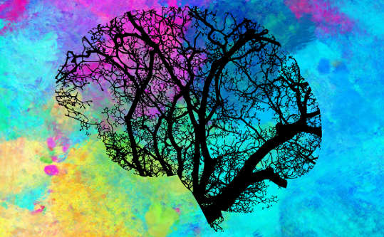 How Meditation Rewires the Brain for Life-Changing Experience tree silhouette in the form of a brain
