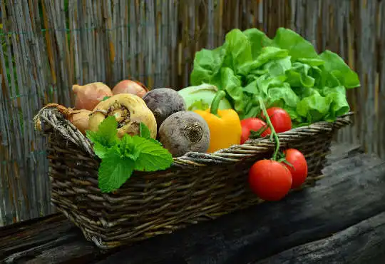 a basket of vegetables