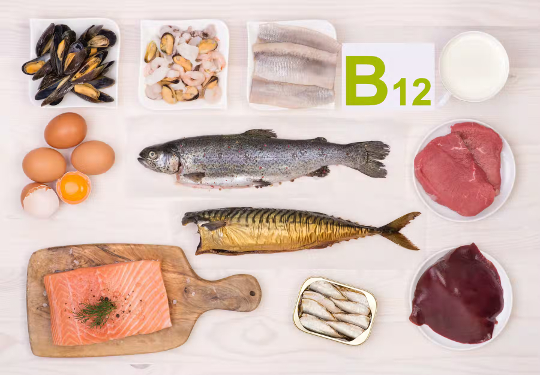 vitamin b 12 necessary2 11 26