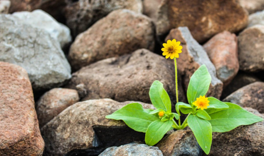 Unlocking the Power of Your Purposeful Life living a purposfull life 6 29