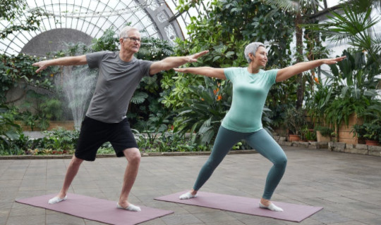 The Science and Art of Longevity the science of longevity 6 26