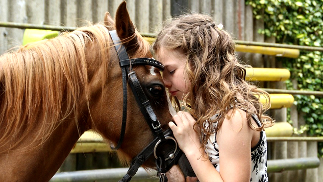 The Gifts of Cognitive, Emotional, or Compassionate Empathy a young girl leaning her face on a horse's forehead