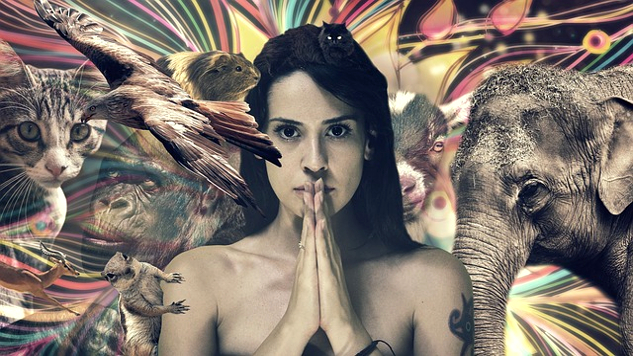 You Are A Shaman, Healer, and Dreamer a young woman surrounded by birds and an elephant