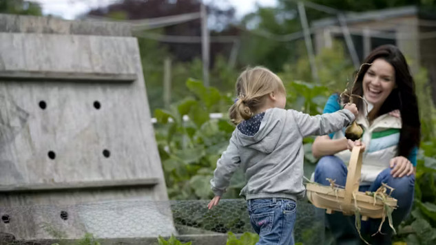 The Untold Benefits of Urban Gardening: More Than Just Fresh Food growing you own food 9 12