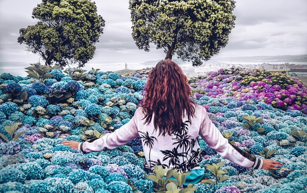 A Great Way to Start Your New Year a woman standing in a field of flowers