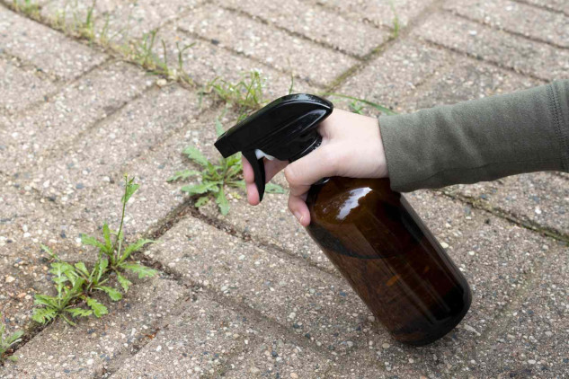 Best Natural Ways to Control Weeds in Concrete Cracks Natural methods to prevent weeds from growing in concrete cracks, including boiling water, vinegar, baking soda, and salt.