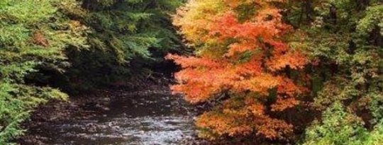 Autumnal Equinox: Being Aware of Our Surroundings Autumnal Equinox: Being Aware of Our Surroundings