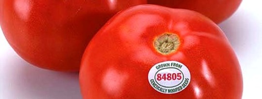Monsanto May Have Won the Battle for I-522, But the Future of Food Is Not Lost Monsanto May Have Won the Battle for I-522, But the Future of Food Is Not Lost