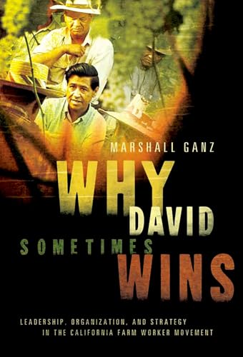 Why David Sometimes Wins