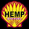 About Cannabis: Its Role in Herbal Medicine